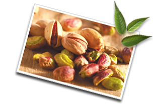 Informations sur les pistaches